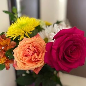 Meet your Posher, Katlyn